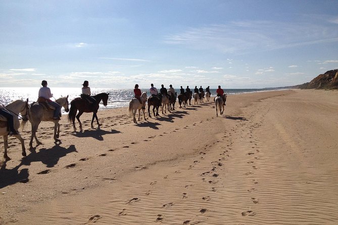 Horseback riding tour of Doñana and visit of El Rocio - The guides matter, and the tone is the point