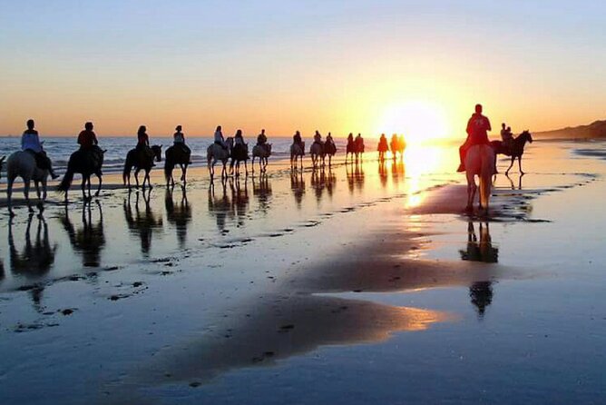 Horseback riding tour of Doñana and visit of El Rocio - Parque Nacional de Doñana: beach, dunes, and Pinares forest on the same horse