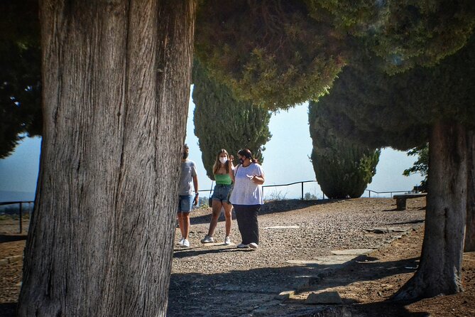 Italica 2-Hour Private Guided Tour - Thermal baths, gym, and the bread oven: seeing daily life, not just monuments