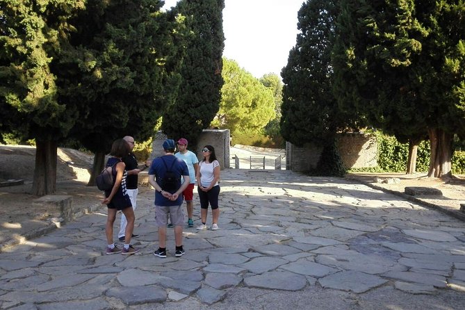Italica 2-Hour Private Guided Tour - Two restored Roman houses and the city street pieces