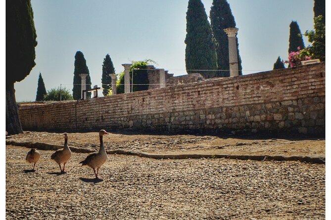 Italica 2-Hour Private Guided Tour - Trajan monument and the Roman power story