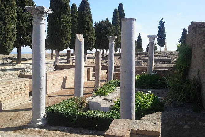 Italica Roman City Tour from Seville - Amphitheater and Traianeum: the stops that make the ruins click