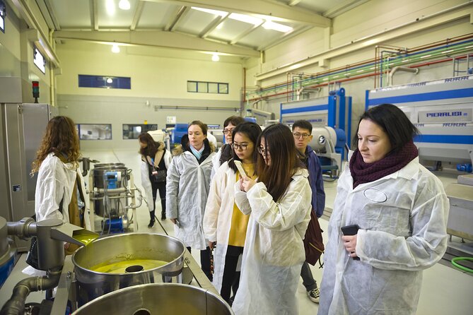 Jaén Discover the Secrets of Olive Oil: Tour & Sensory Tasting - What Makes This Tour Feel Premium for the Money