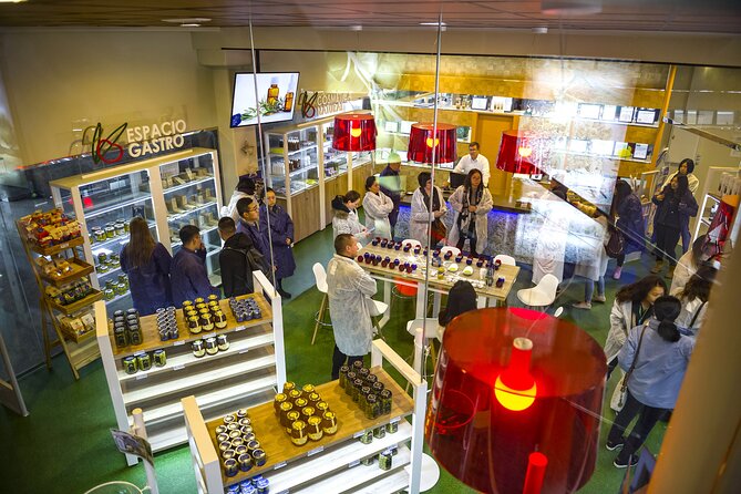 Jaén Discover the Secrets of Olive Oil: Tour & Sensory Tasting - Timing and Language Options That Help You Plan