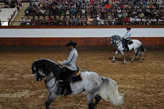 Jerez and Cadiz with Horse Ballet and Sherry Tasting from Seville - A single day covering Jerez and Cádiz from Seville
