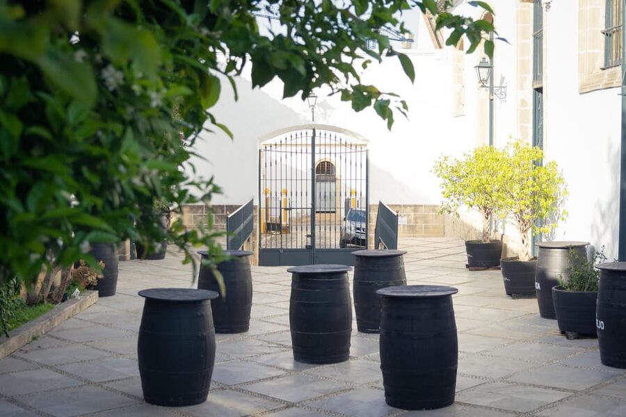 Jerez: Bodegas Álvaro Domecq Guided Tour with Wine Tasting - Key takeaways before you go
