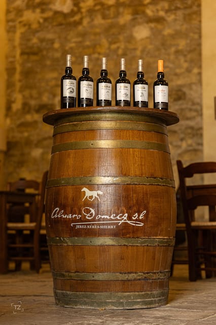 Jerez: Bodegas Álvaro Domecq Guided Tour with Wine Tasting - Pacing, language, and group reality in 1.5 hours