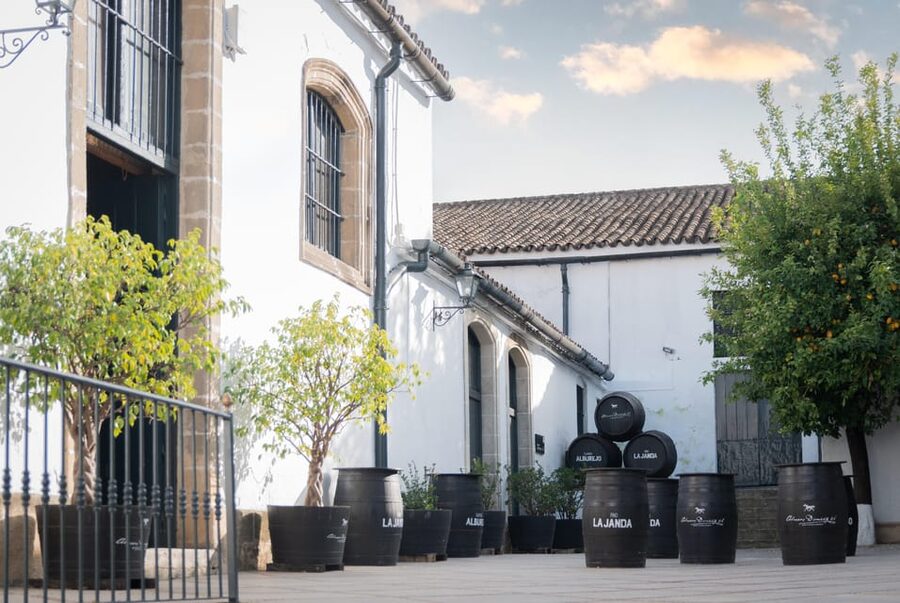 Jerez: Bodegas Álvaro Domecq Guided Tour with Wine Tasting - Meeting point and the first real tip: arrive ready to ring the bell