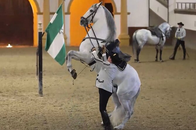 Jerez & Cadiz Winery with Tasting & Opt Horse Show from Seville - Key highlights before you go
