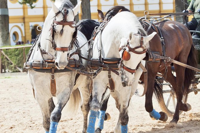 Jerez & Cadiz Winery with Tasting & Opt Horse Show from Seville - Price and value, what you’re paying for at $117.74