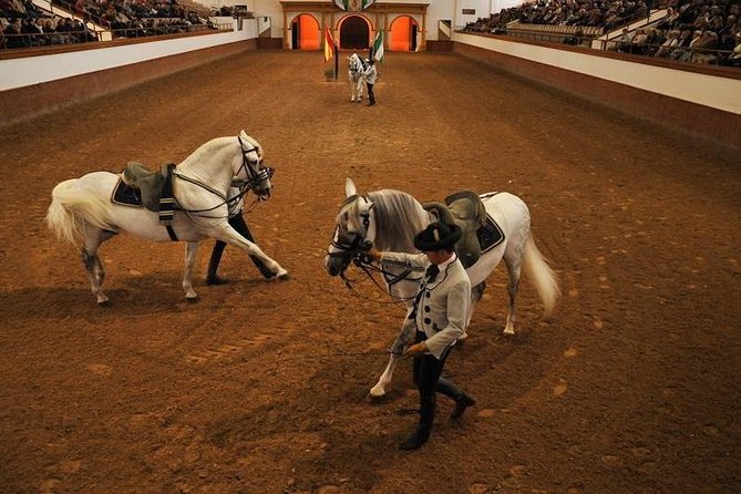 Jerez & Cadiz Winery with Tasting & Opt Horse Show from Seville - Who this tour suits best, and who should look elsewhere