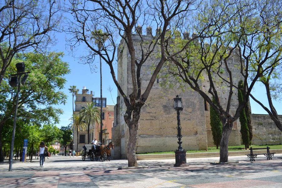 Jerez de la Frontera: 1.5-Hour Walking Tour with a Guide - Key things you will notice on this Jerez walk