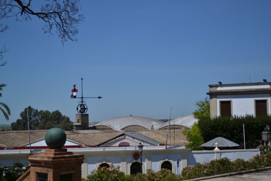 Jerez de la Frontera: 1.5-Hour Walking Tour with a Guide - Cathedral time, with history from the outside