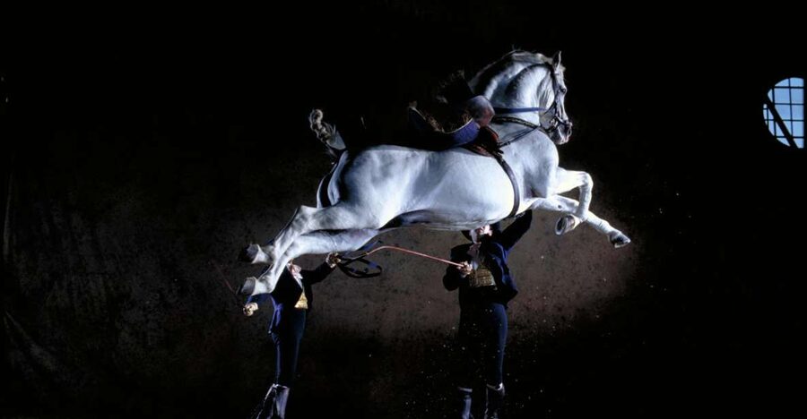 Jerez de la Frontera: Andalusian Horse Dance and Museums - What You Get for the $38 Price in Jerez