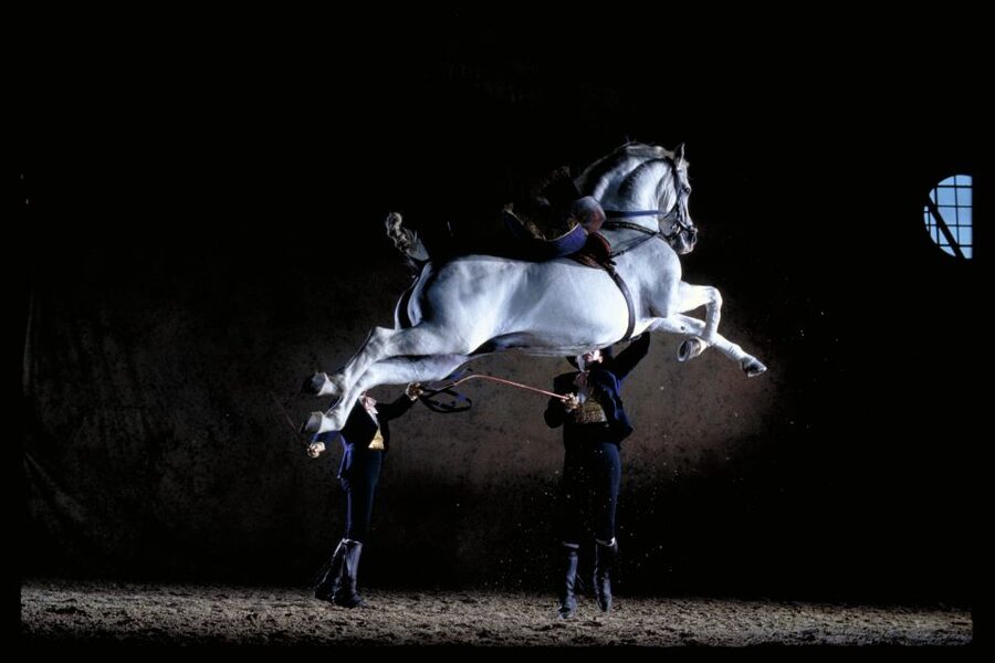 Jerez de la Frontera: Andalusian Horse Dance and Museums - The Visitor Reception Centre film and gardens: a calm start before the action