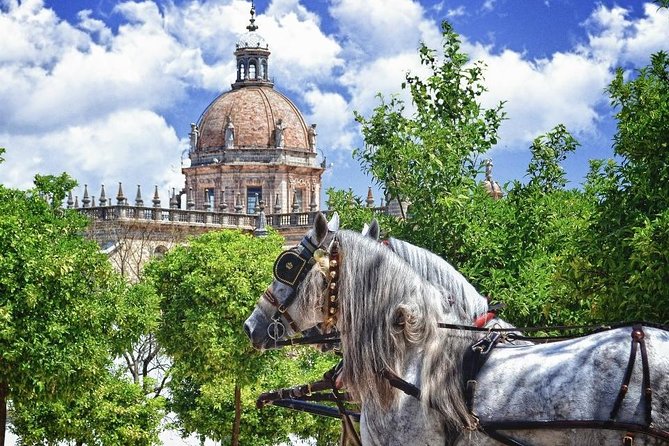 Jerez de la Frontera History and Art Walking Tour - Quick take: what I’d do on this tour