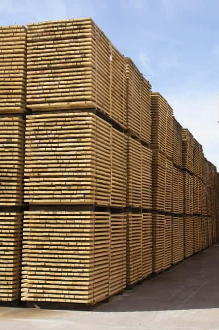 JEREZ DE LA FRONTERA: PREMIUM GUIDED TOUR TO THE COOPERAGE - Entering The Public Cooperage Visitor Center In Jerez