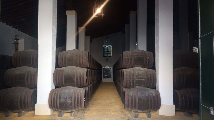 Jerez de la Frontera: Sherry Winery Tour with Tasting - Key highlights worth planning for