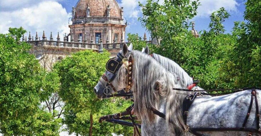 Jerez: Historic Center Guided Tour - Why Jerez’s old center deserves 2 hours of your time