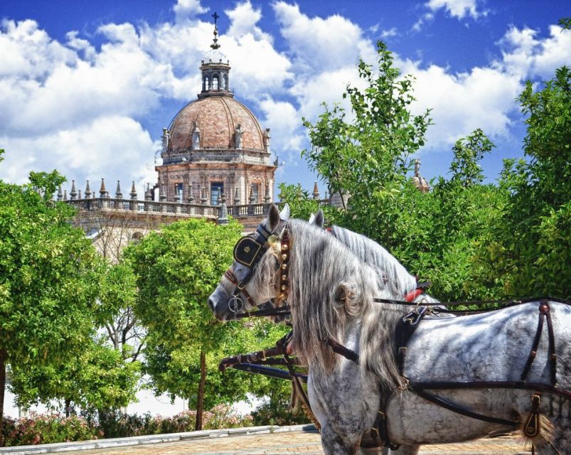 Jerez: Historic Center Guided Tour - From Plaza del Arenal to San Miguel’s Gothic streets