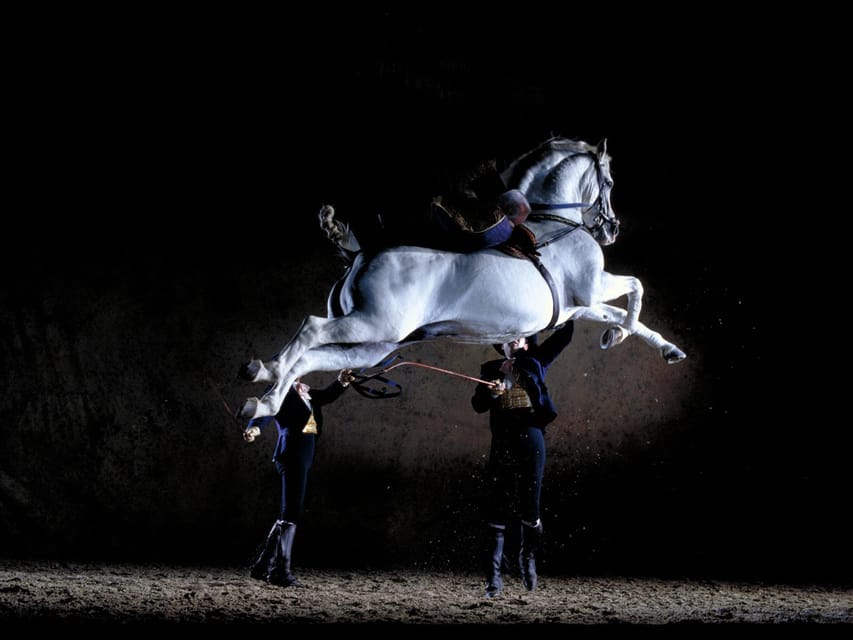 Jerez: Historic center of Jerez and horse show - Where this tour fits in your Jerez day