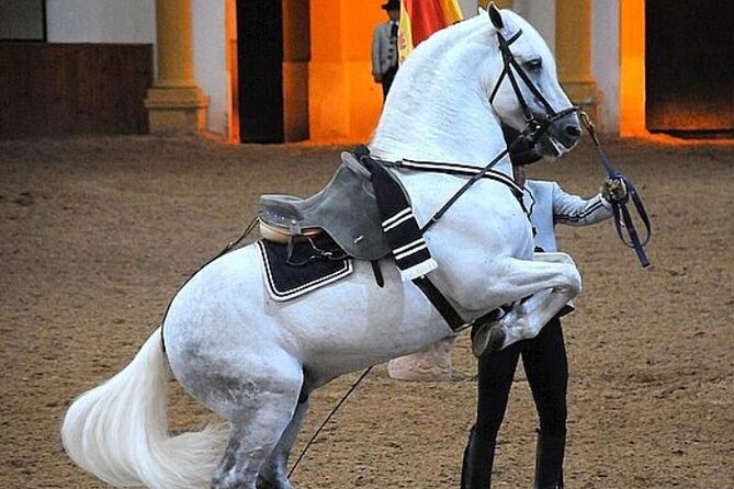 Jerez Historic Guided Tour with Horse Show - Jerez half-day timing, starting at Plaza del Arenal