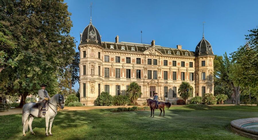 Jerez: Royal Andalusian School of Equestrian Art Admission - Key Points Before You Go