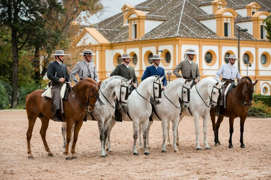 Jerez: Royal Andalusian School of Equestrian Art Admission - Start at the Visitor Reception, Then Let the Gardens Set the Mood