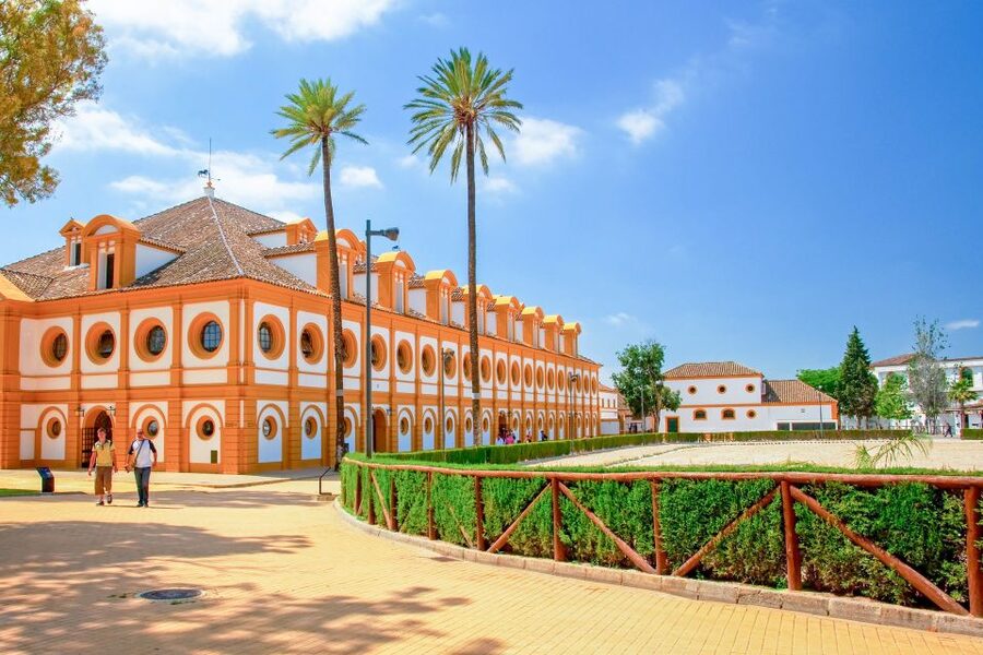 Jerez: Royal Andalusian School of Equestrian Art Admission - Guides, Language Choices, and What To Ask