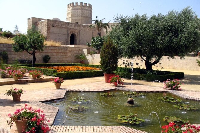 Jerez Walking Tour with Alcazar and Cathedral Entrance - Time, Pace, and the Two-Language Twist