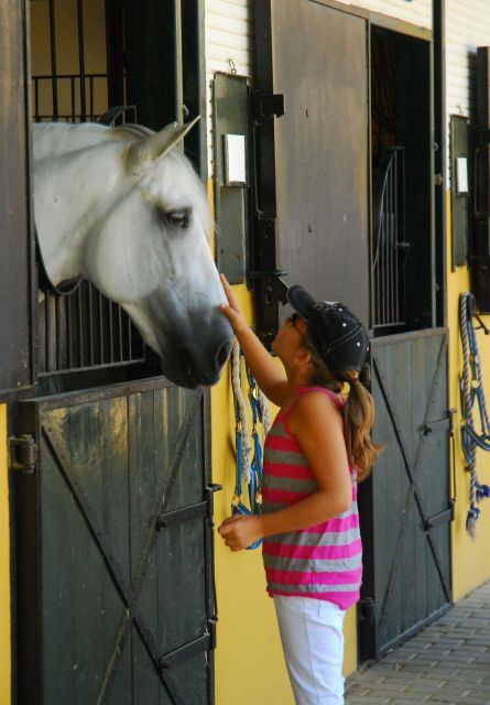 Jerez: Yeguada de la Cartuja Carthusian Horses Tour - The arena exhibition and the foals moment