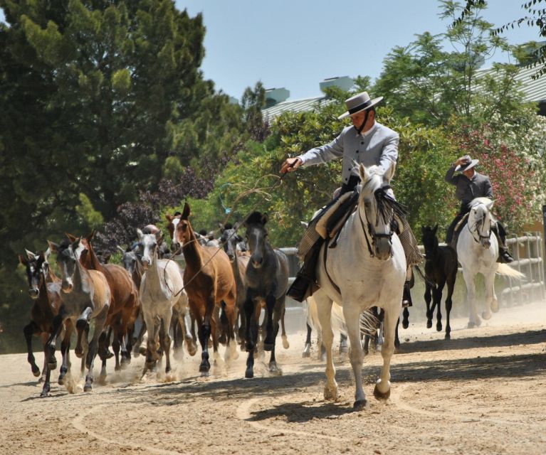 Jerez: Yeguada de la Cartuja Carthusian Horses Tour - The guides: what makes the learning click