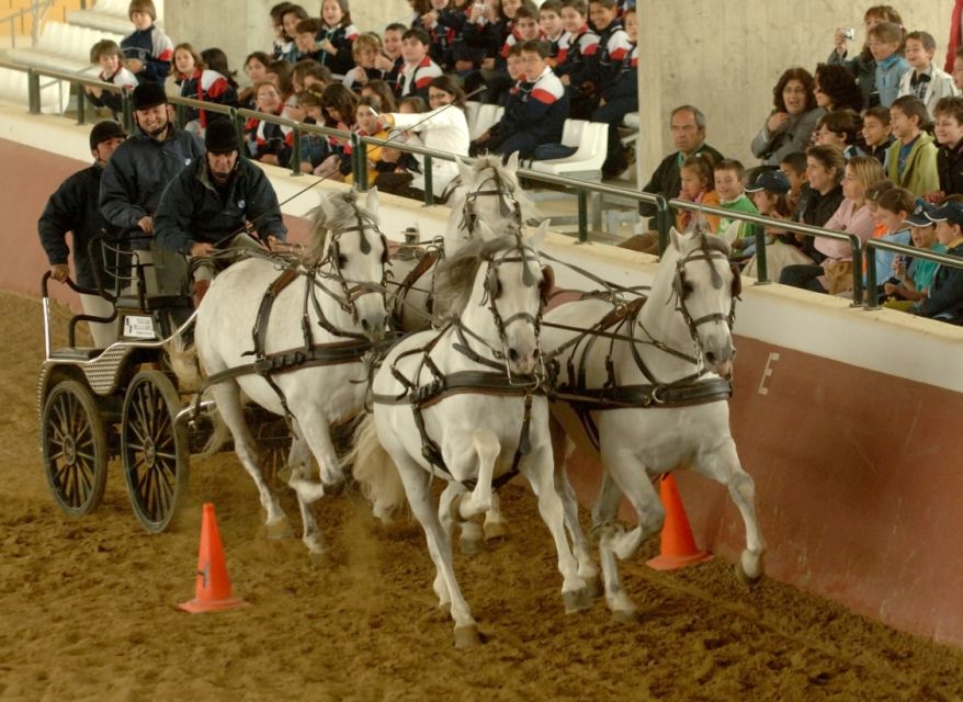 Jerez: Yeguada de la Cartuja Carthusian Horses Tour - Price and value: about $22 for a 2.5-hour show + tour