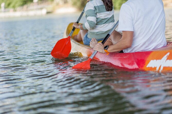 Kayak Guided Tours - What the guide really does on this tour