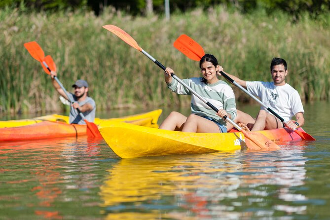 Kayak Rental - Kayaks, Comfort, and Who Should Choose Single vs Double