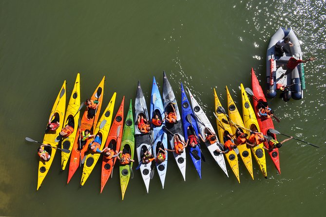 Kayak Tour or Seville Rental - The easy landing: boarding help that makes first-timers calm