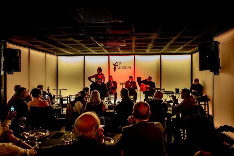 Live flamenco + tasting - Key highlights you will feel fast