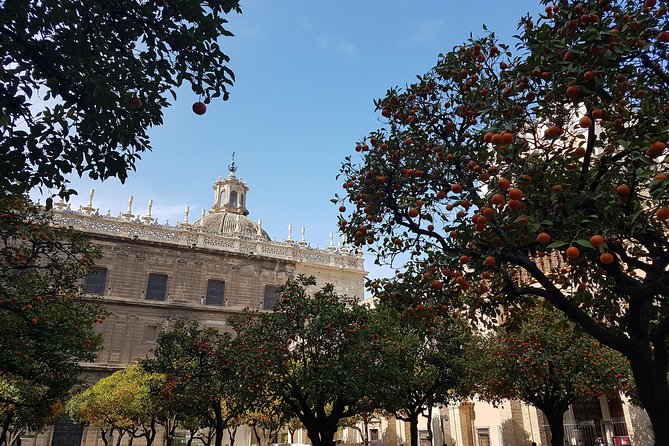 Luggage Room in Seville City Centre - Where it happens: Naturanda offices in central Seville