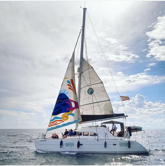 Marbella: Group Dolphin Watching Catamaran Tour with Snacks - Marbella from the Sea, in Just 2 Hours