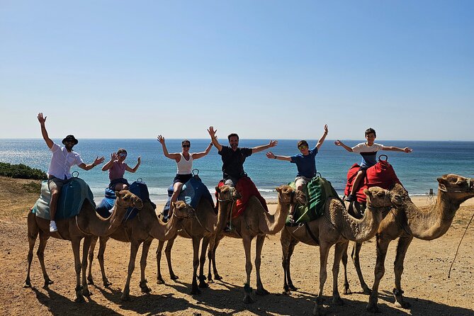 Morocco Express: Private Tour Tangier from Seville AllInclusive - Key highlights worth your attention
