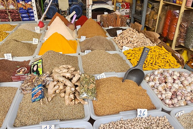 Morocco Express: Private Tour Tangier from Seville AllInclusive - Campiña Sevillana countryside drive back: olive groves, villages, and old farm life