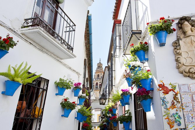 Mosque-Cathedral, Alcazar & Synagogue with Skip the Line Tickets - La Juderia walk: Arabic market mood and Maimonides references