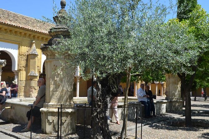 Mosque of Cordoba History Tour in English Tickets included - What the guide adds, and why it changes the whole experience