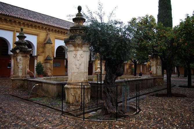 Mosque of Cordoba Private Tour in English Ticket included - English Guide Style, Humour, and Answering Real Questions