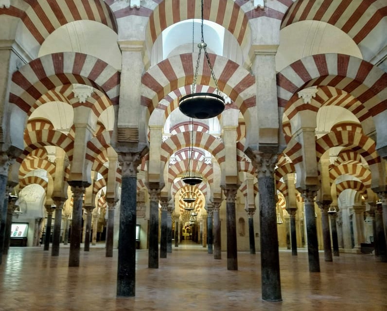 Mosquée Cathédrale tour guidé en petit group en français - Quick Practical Notes Before You Go