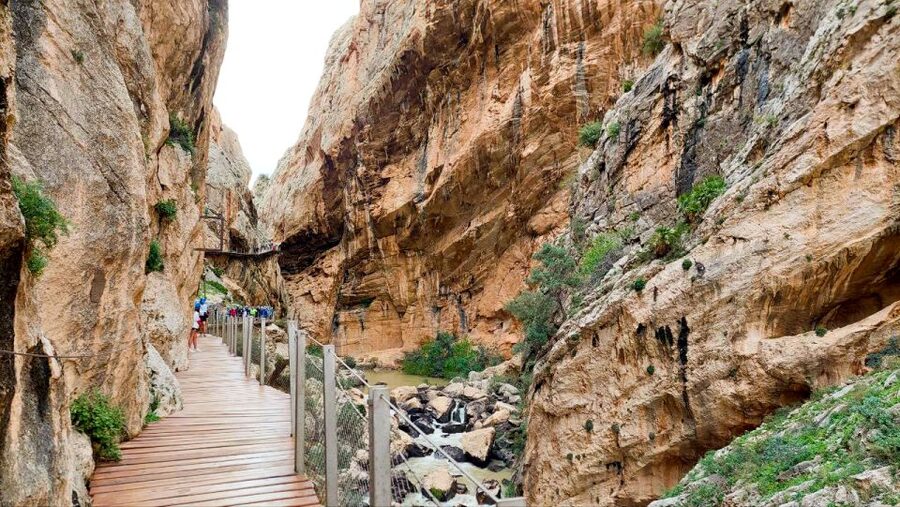 Nerja, Torrox, or Torre del Mar: Caminito del Rey Day Trip - Price and value: what you get for $81