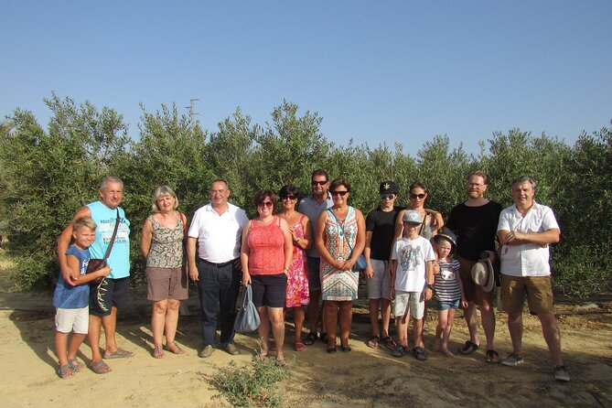Oil tourism in Pulpí Discover the World of EVOO - Stop 4: Premium EVOO Tasting Plus Aroma Oils You’ll Actually Talk About