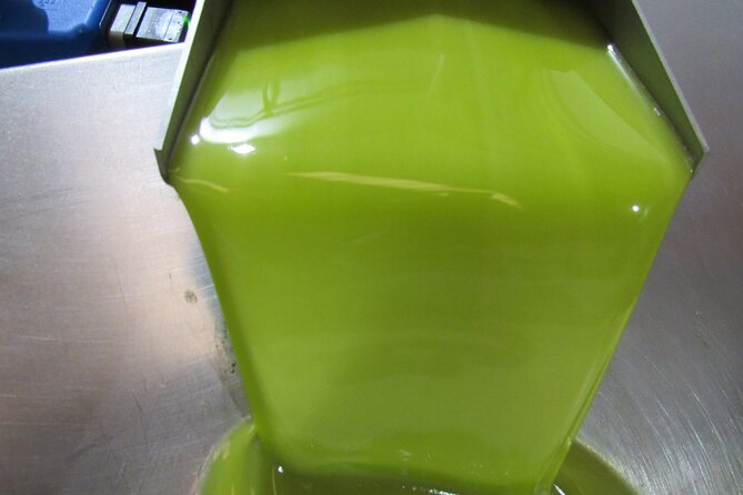 Oil tourism in Pulpí Discover the World of EVOO - Price and Value: Why $19.35 Can Be a Steal