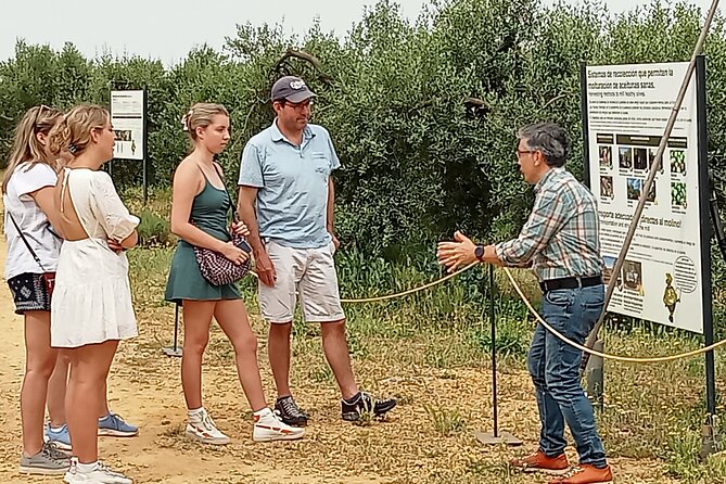 Oleotourism and olive oil tasting in Seville - Private tour - Key highlights that make this olive oil tour worth it