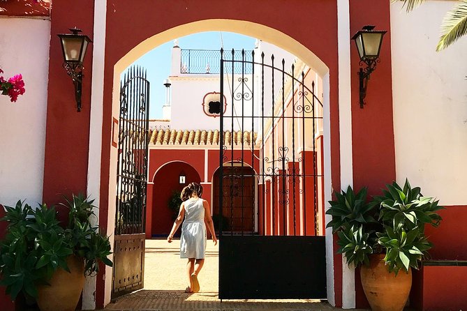 Oleotourism and olive oil tasting in Seville - Private tour - The 17th-century mill experience and what you should watch for